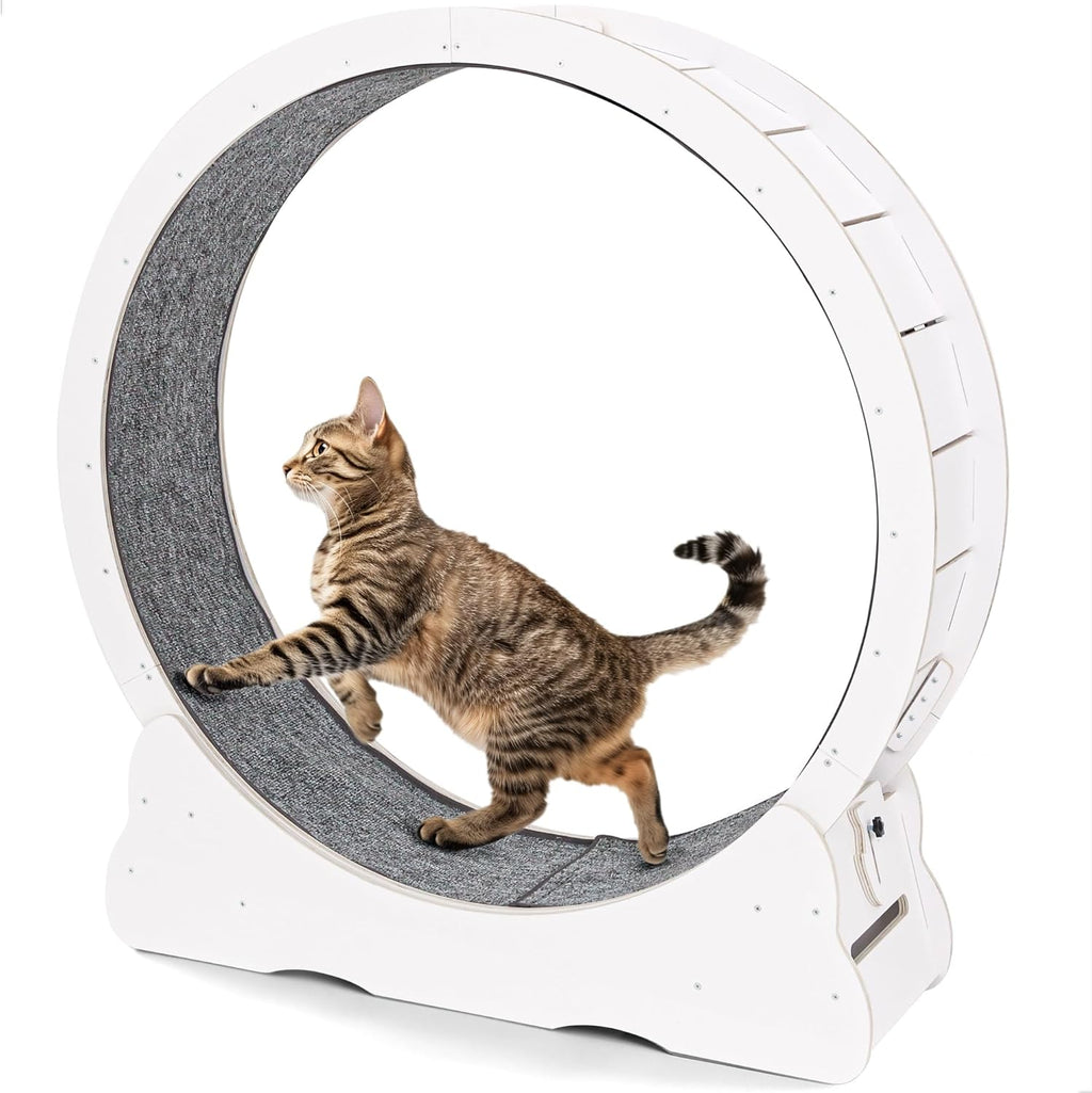 YODOLLA 43.3” Cat Exercise Running Wheel, White