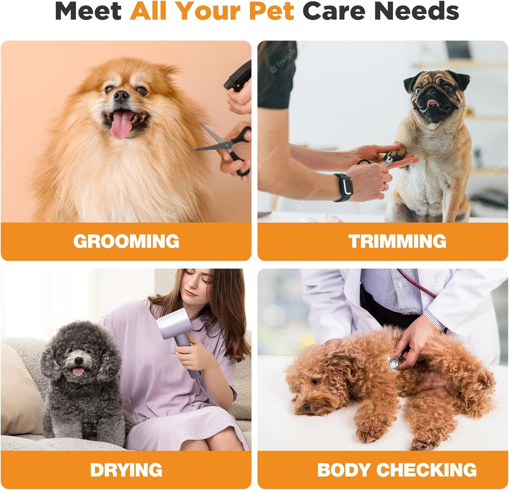 YODOLLA Electric Lift Dog Grooming Table with Foldable Arm