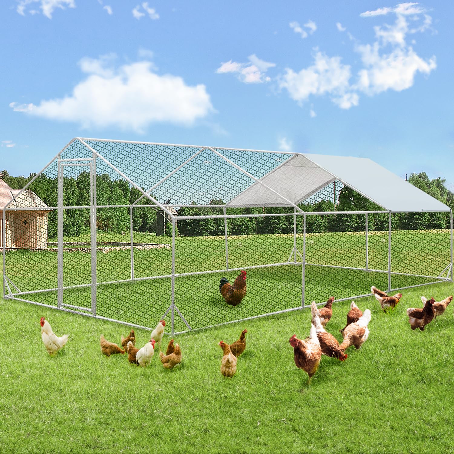 YODOLLA 6M Large Walk-in Metal Chicken Cage
